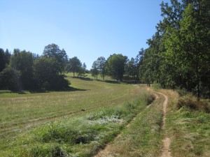 IMG_2449